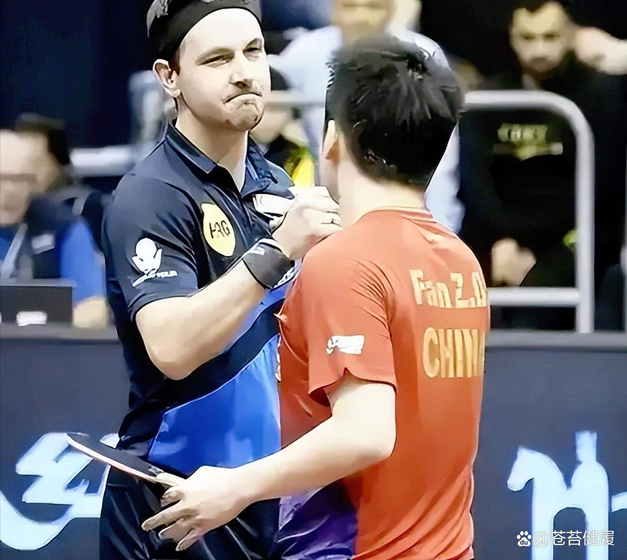 韩国乒乓球队绝地反击日本乒乓球队,波尔送出助攻的简单介绍 韩国乒乓球队绝地反击日本乒乓球队,波尔送出助攻的简单介绍