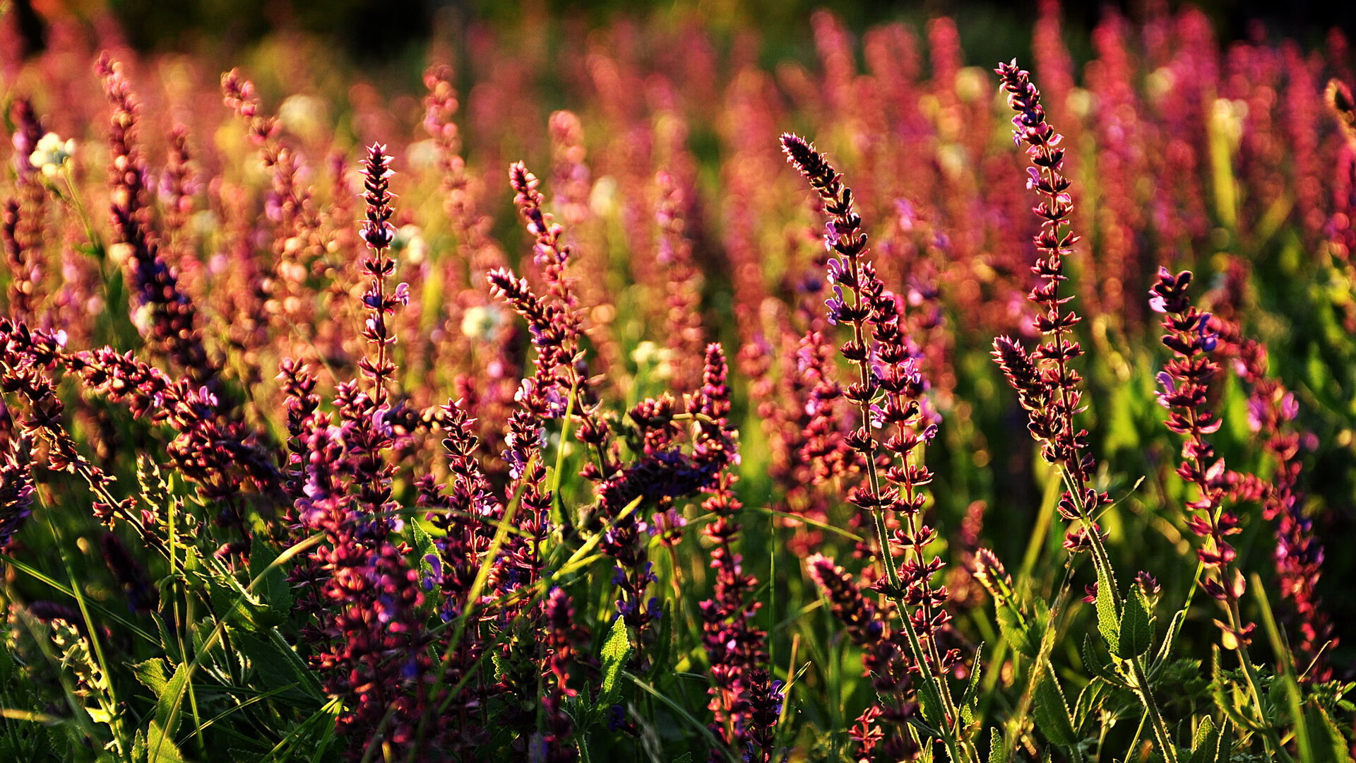 安哥拉绝杀，是亚特兰大之夜的终章；哈弗茨爆发，却只是另一部剧中剧的序曲