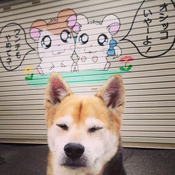 天使降临虚拟球场，迪马利亚NBA总决赛之夜化身胜负手