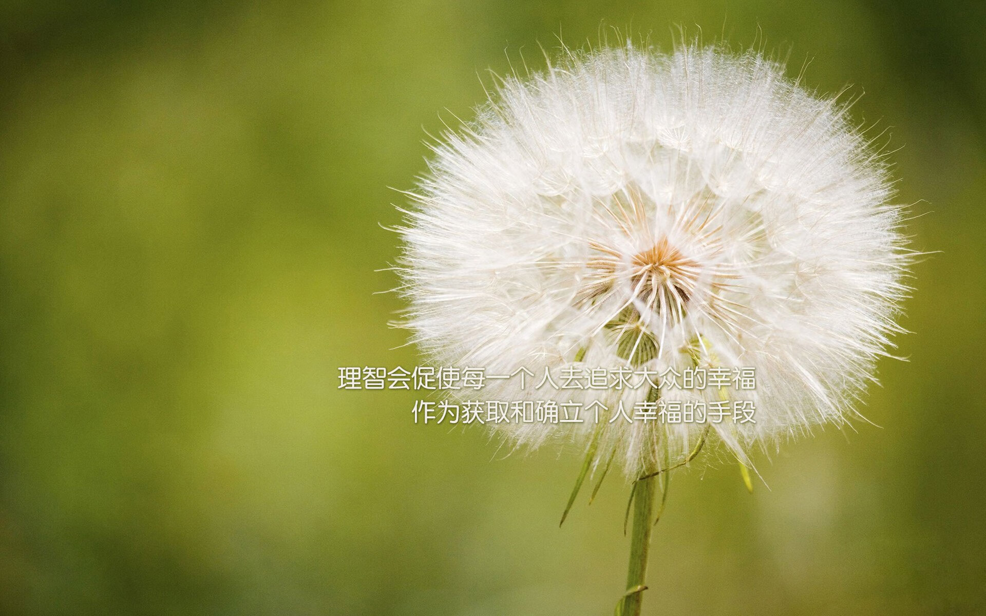 华体会hth-孤星耀世，2026世界杯G组生死战，波兰血洗西班牙，托纳利一人改写足球版图